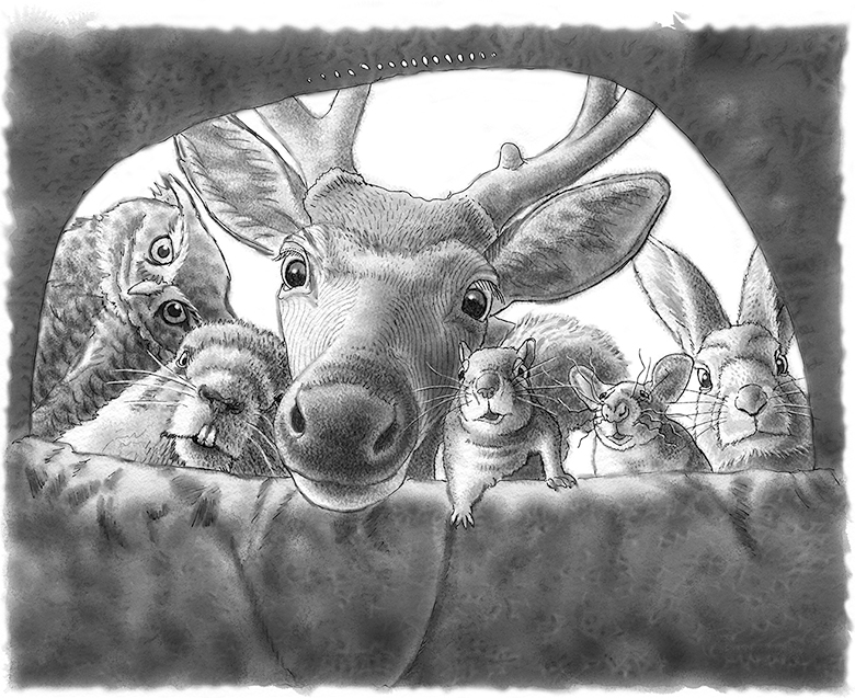 deer and animals looking through deerblind